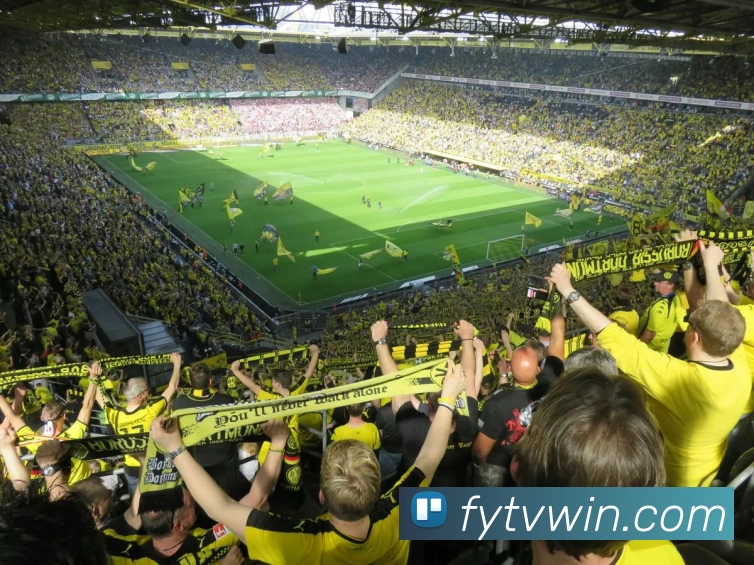 风云直播官网品牌故事